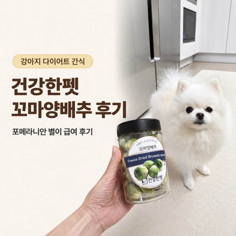 강아지 다이어트 간식, 건강한펫 동결건조 꼬마양배추, 포메라니안 급여 후기