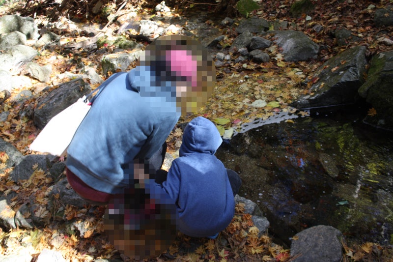 [강원도 횡성] 9월에 떠나는 힐링 여행, 청태산 자연휴양림 아이와 함께한 가을 숲 체험