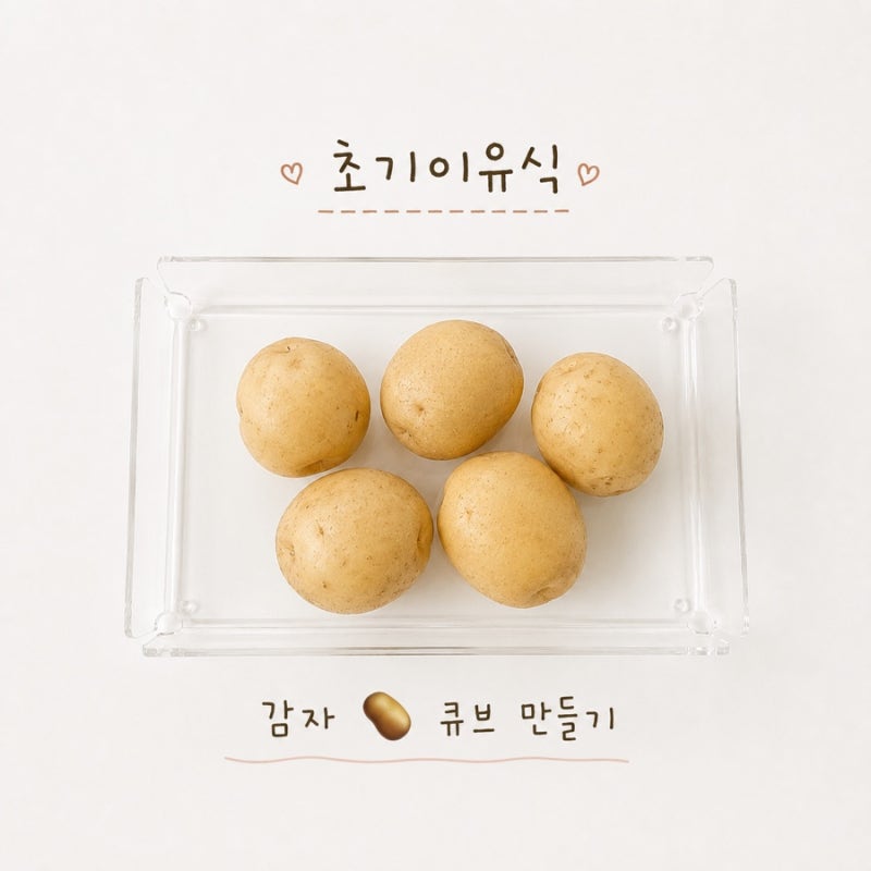 [이유식일기] 초기 이유식 (토핑이유식) / 감자 큐브 만들기 (퍼기찜기 & 레꼴뜨 초퍼)