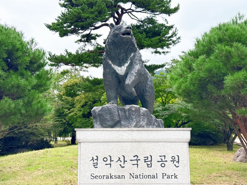 설악산 국립공원 케이블카 가족여행 권금성 가격 주차장