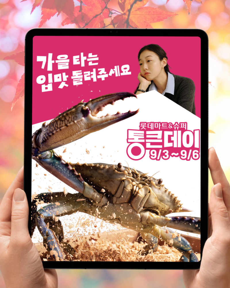 “한달 생활비 줄여볼까?” 롯데마트 세일 통큰데이 9월 품목 전단지 총정리!