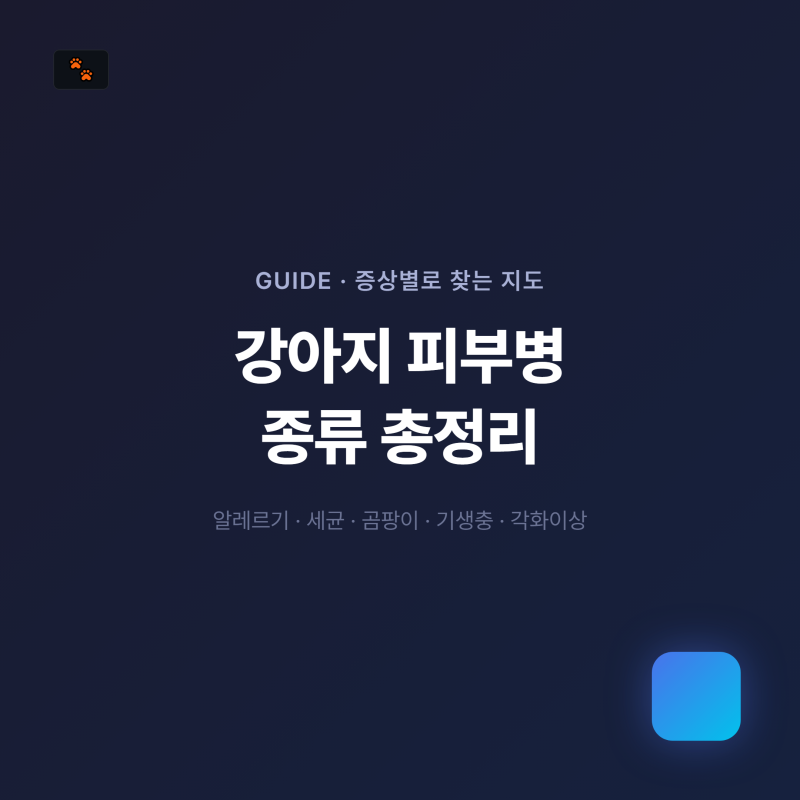 강아지 피부병 종류 8가지 총정리 — 증상별로 찾아보는 지도
