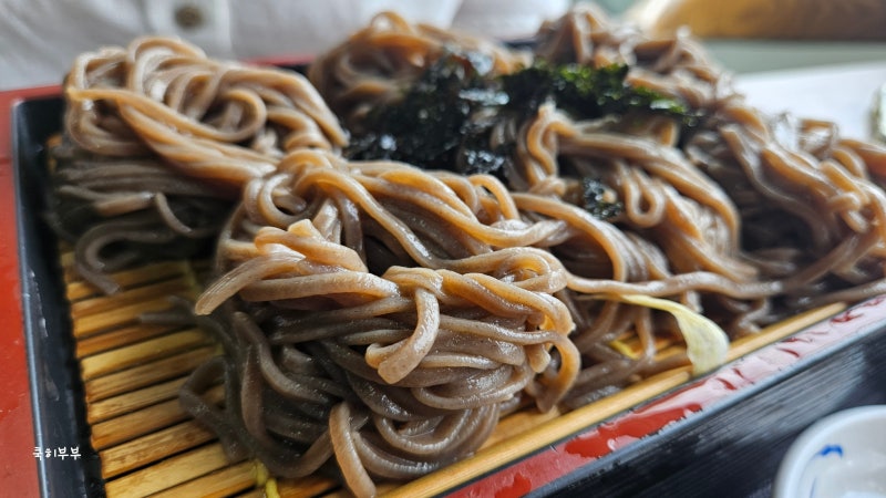 포항 현지인 맛집 메밀소바와 옛날 돈가스가 맛있는 솔밭 메밀소바 내 돈 내산 후기