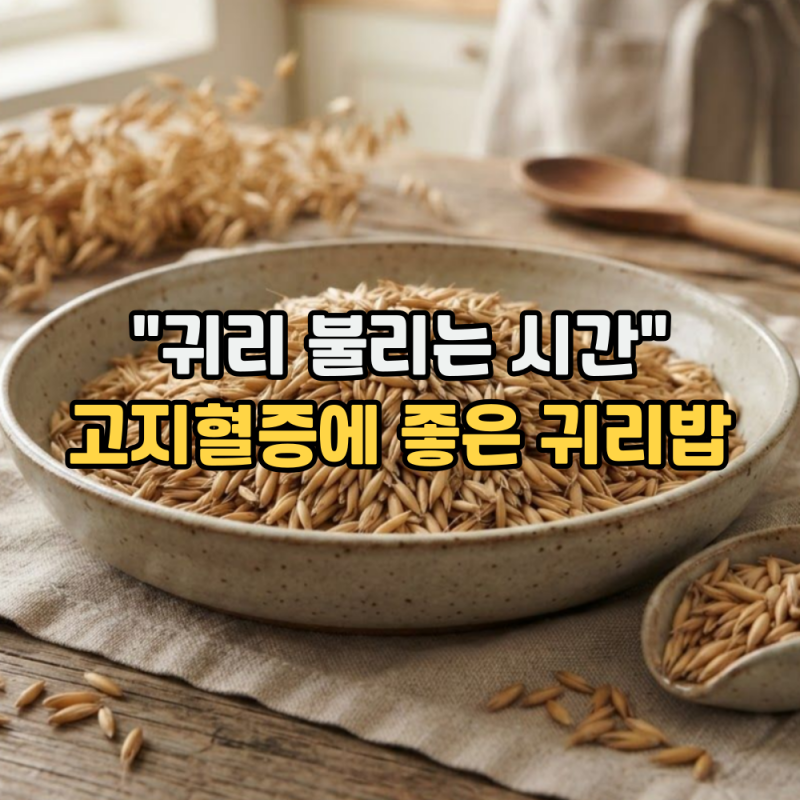 고지혈증에 좋은 귀리밥 짓는법 (귀리 불리는 시간, 귀리와 쌀의 황금비율)