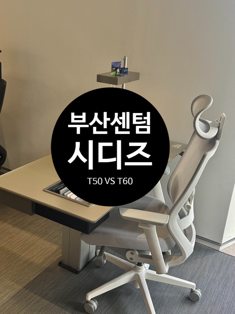 부산 시디즈 센텀 매장 의자 T50,T60비교 게이밍의자