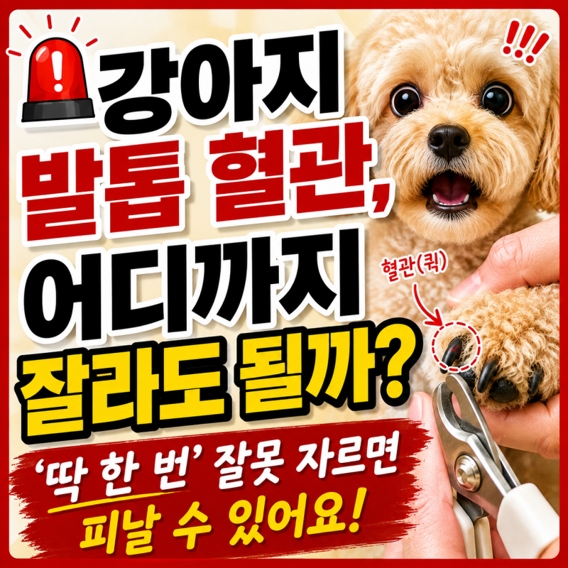강아지 발톱 혈관, 어디까지 잘라도 될까? ‘딱 한 번’ 잘못 자르면 피날 수 있어요