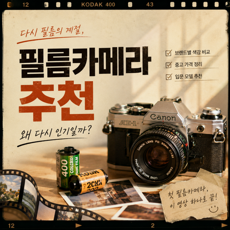 수동 필름카메라 추천, 왜 다시 인기일까? 브랜드별 색감부터 중고 가격·입문 모델까지