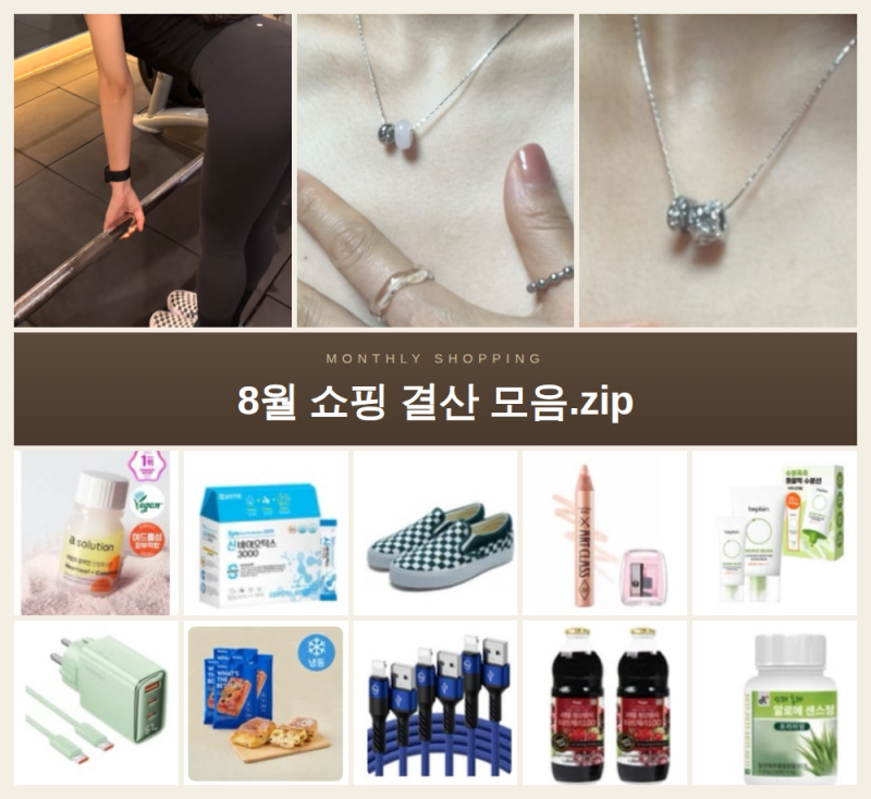 [쇼핑] 8월 결산 쇼핑 잘산템 모음.zip (다이소,쿠팡,립펜슬,운동복,다이어트추천템)