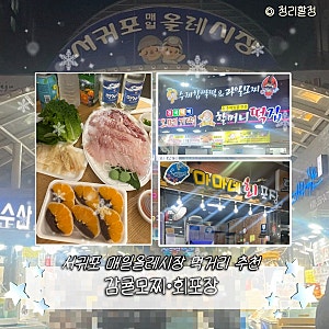 [제주 서귀포] 매일올레시장 | 과일모찌•회포장•야시장 먹거리 솔직후기(내돈내산)