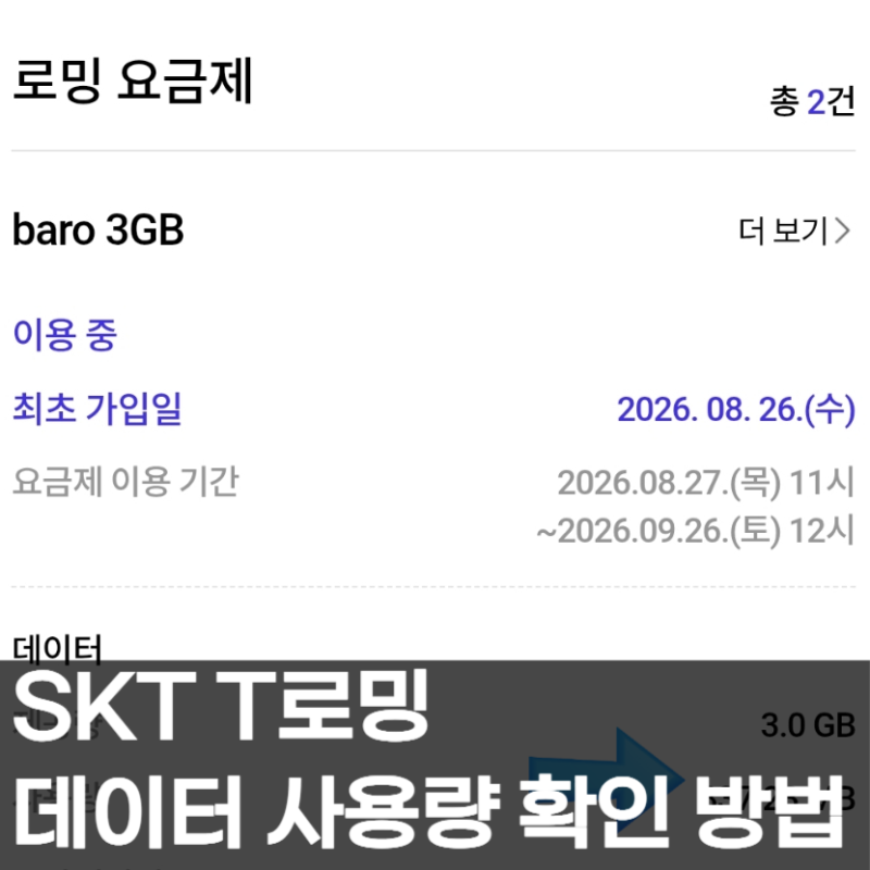 SKT BARO 로밍 요금제 데이터 사용량 확인 방법