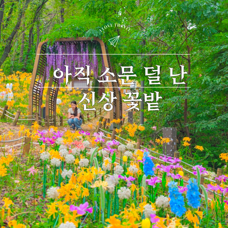 "여기 새로 생겼어요" 경남 밀양 가볼만한곳 밀양읍성 상사화 영남루 별빛정원