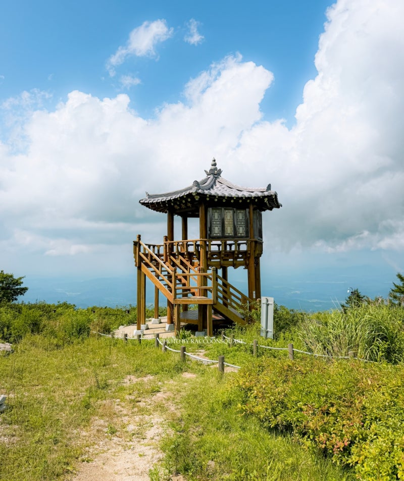 대구 명소 가볼만한곳 팔공산 하늘정원 최단 등산코스