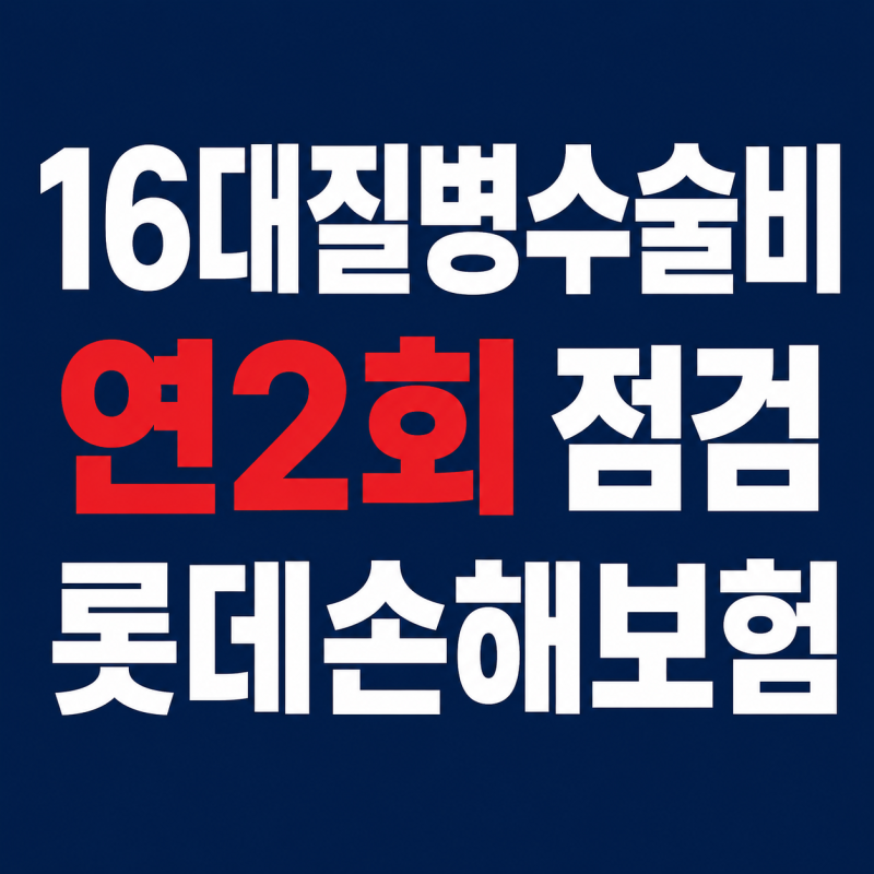 16대질병수술비 연2회 점검 롯데손해보험