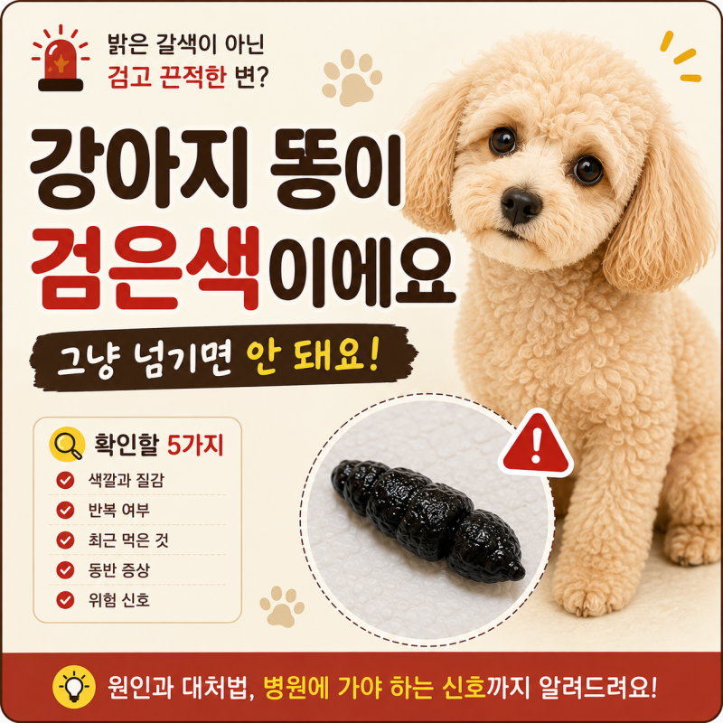 강아지 똥이 검은색이에요, 까만 변을 그냥 넘기면 안 되는 경우