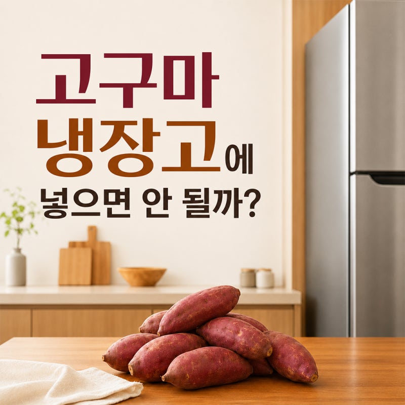 햇고구마 냉장고에 넣으면 안 될까? 오래 두는 보관법과 상한 고구마 구별