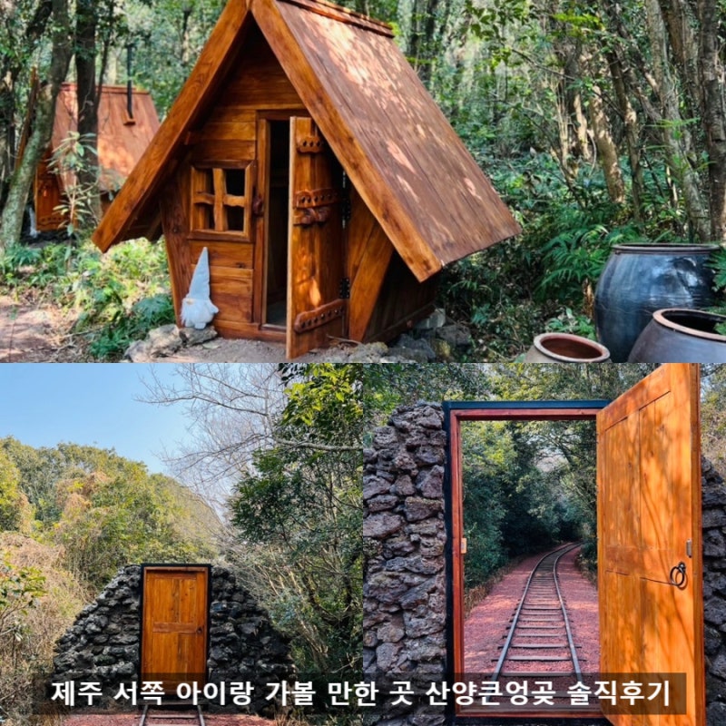 제주 서쪽 여행코스 산양큰엉곶 포토존 많은 곶자왈 숲길