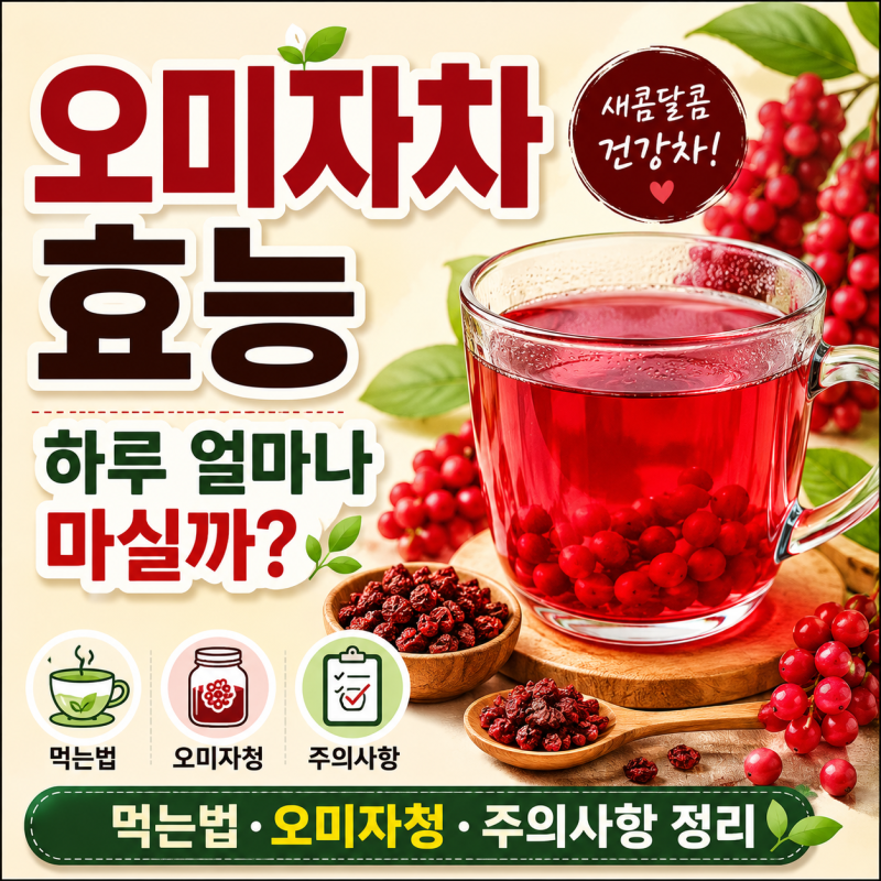 오미자차 효능과 먹는법, 하루 얼마나 마시면 좋을까