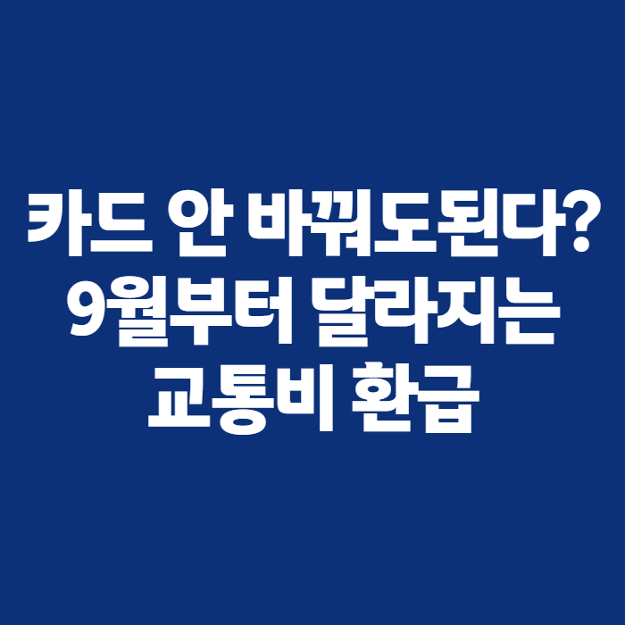 K패스 모두의카드 신청 방법과 전환, 기후동행패스 바뀌면 뭐가 달라질까