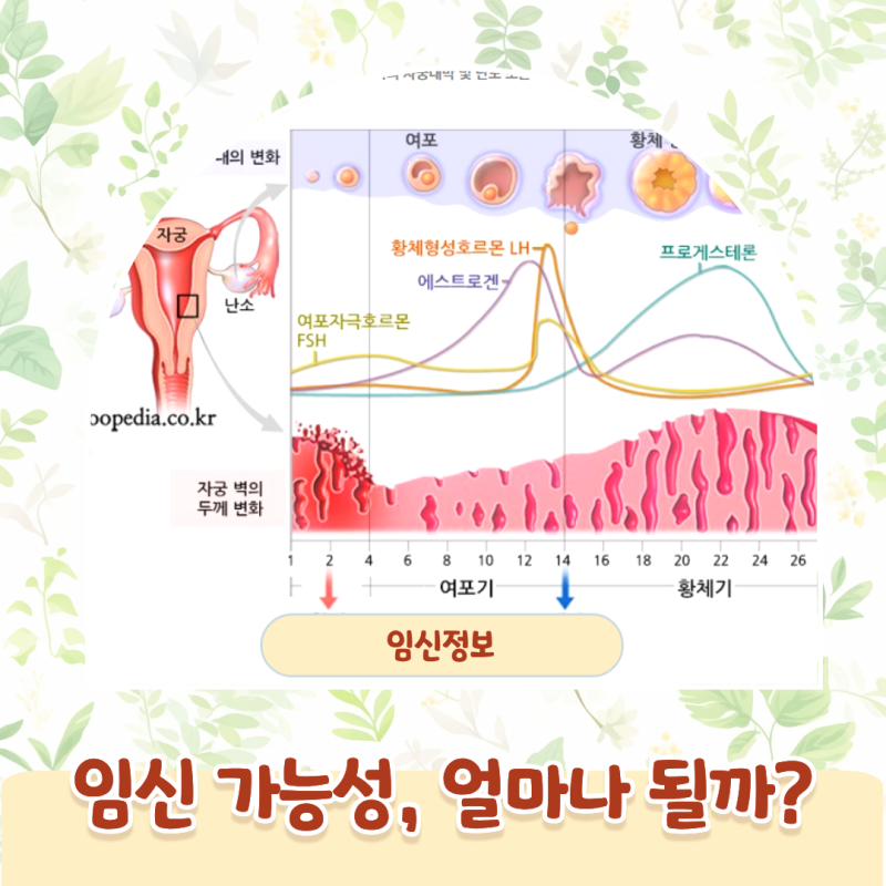 임신가능성 얼마나 될까? 가임기 계산부터 피임실패율까지