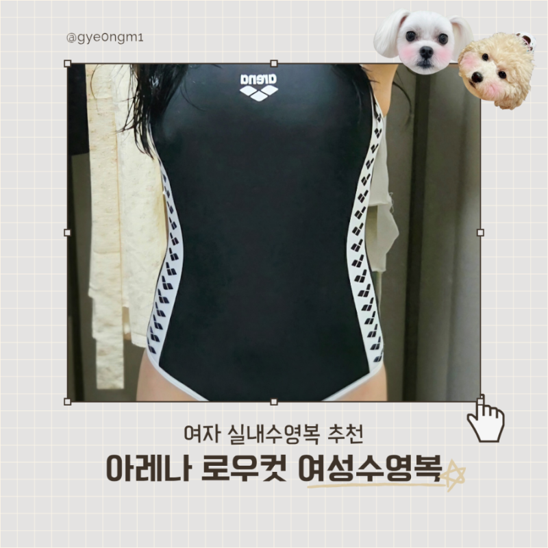 수영 초보 수린이의 아레나 여성수영복 빅사이즈 로우컷 후기