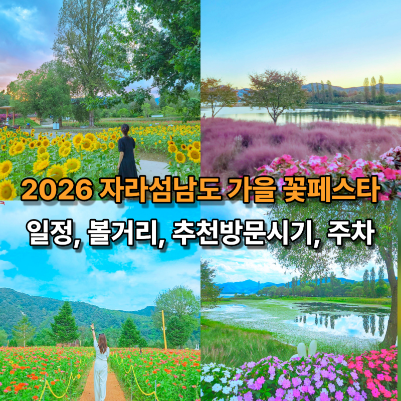 9월 가평가볼만한곳 2026가을 자라섬남도꽃정원 축제 일정 볼거리 주차