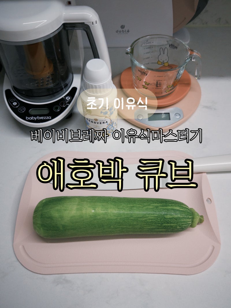 초기 이유식 애호박 큐브 레시피｜베이비브레짜 이유식마스터기로 만들기