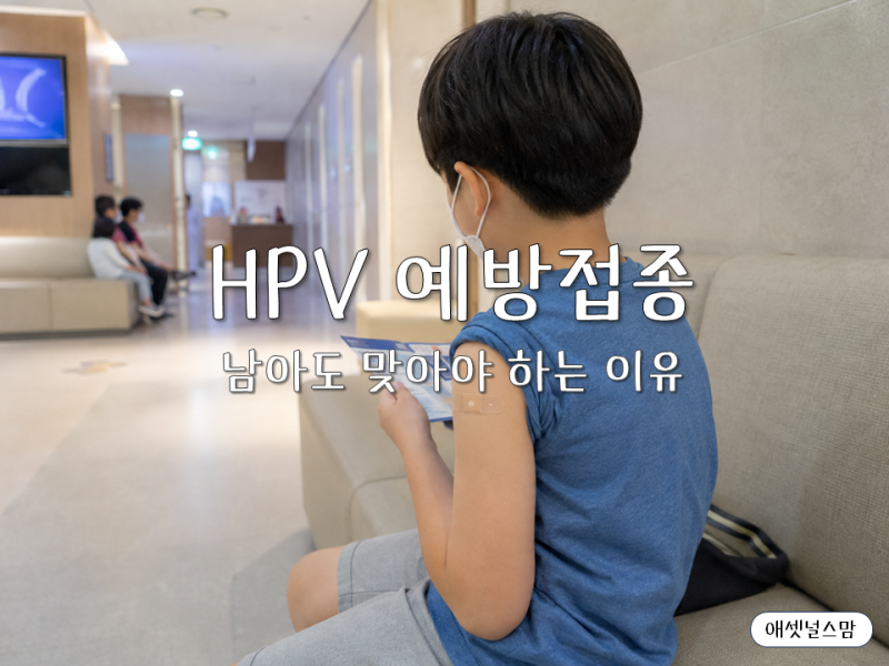 HPV 예방접종 남아도 맞아야 하는 이유, 간호사가 쉽게 정리