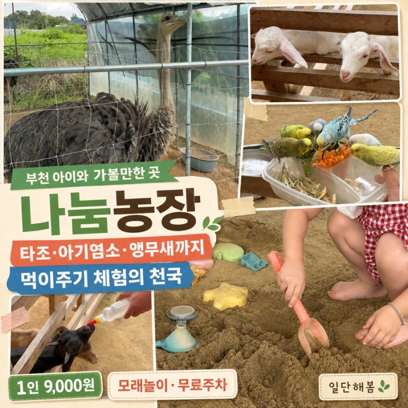 부천 아이와 가볼만한곳 나눔농장｜9천 원에 동물 먹이주기·모래놀이, 주차까지 편한 곳