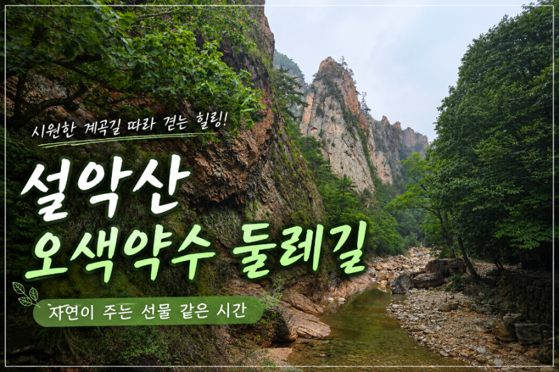 양양 설악산 오색약수터 주전골 트레킹 용소폭포 까지 다녀온 후기, 양양 송이벨리자연휴양....