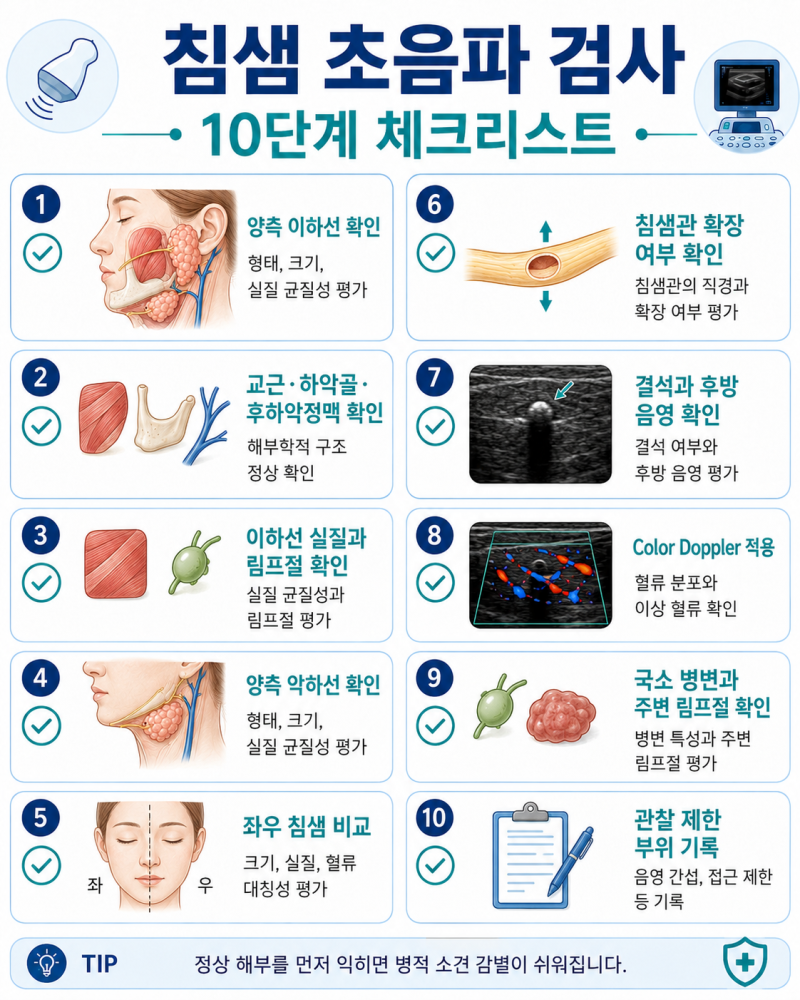 침샘 초음파무엇부터 확인할까? -이하선·악하선·침샘관 기본 해부