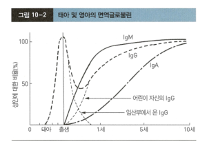 [전주 소아과] 예방접종 정리 - 6개월 (2, 4개월 접종과 거의 비슷 / 독감 예방 접종 / B형 간염 3....
