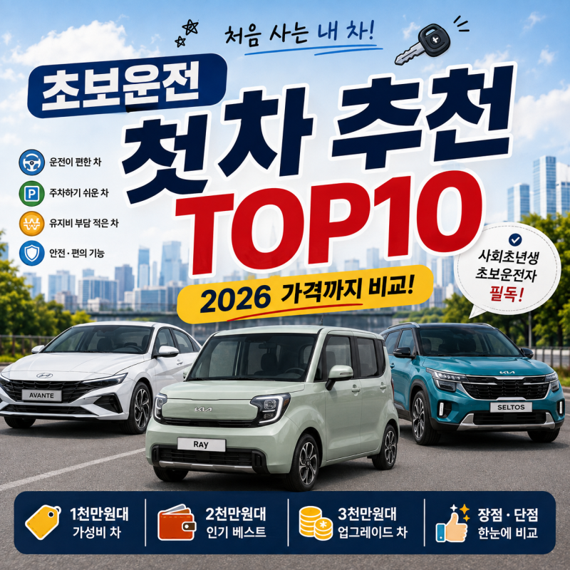사회초년생 첫차 추천 TOP10 1천·2천·3천만원대별 비교 2026