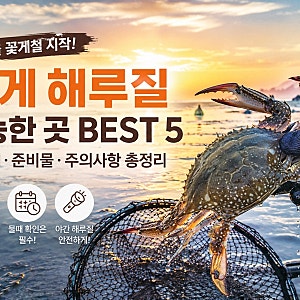 가을 꽃게 금어기 해제! 꽃게 해루질 가능한 곳 추천 + 물때·준비물 총정리