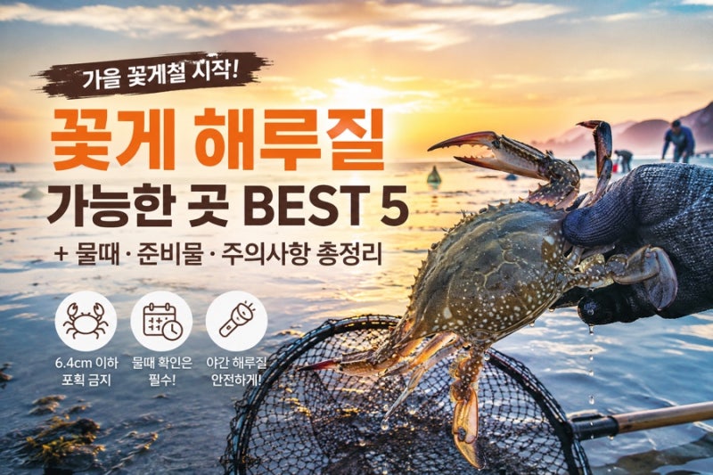 가을 꽃게 금어기 해제! 꽃게 해루질 가능한 곳 추천 + 물때·준비물 총정리