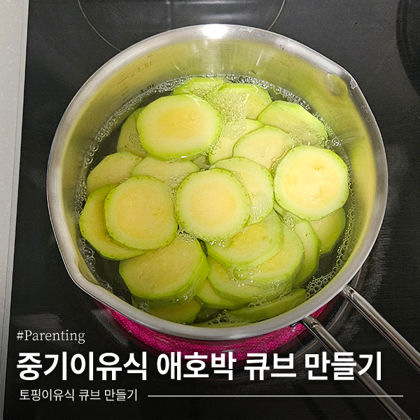 [이유식] 중기이유식 애호박 큐브 만들기