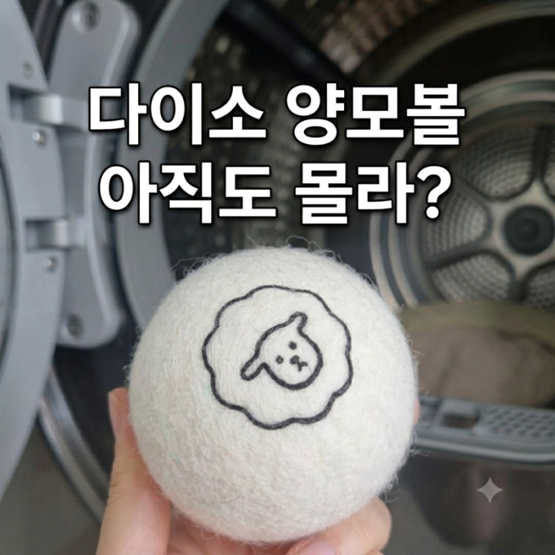 다이소 살림 추천템 건조기 양모볼 내돈내산 전기세 아끼는 꿀팁