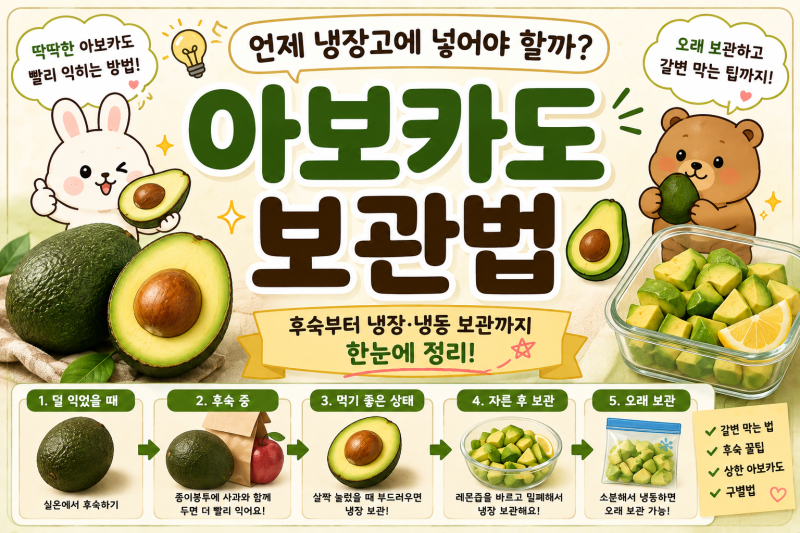 아보카도 보관법, 딱딱한 아보카도 빨리 익히고 오래 보관하는 방법