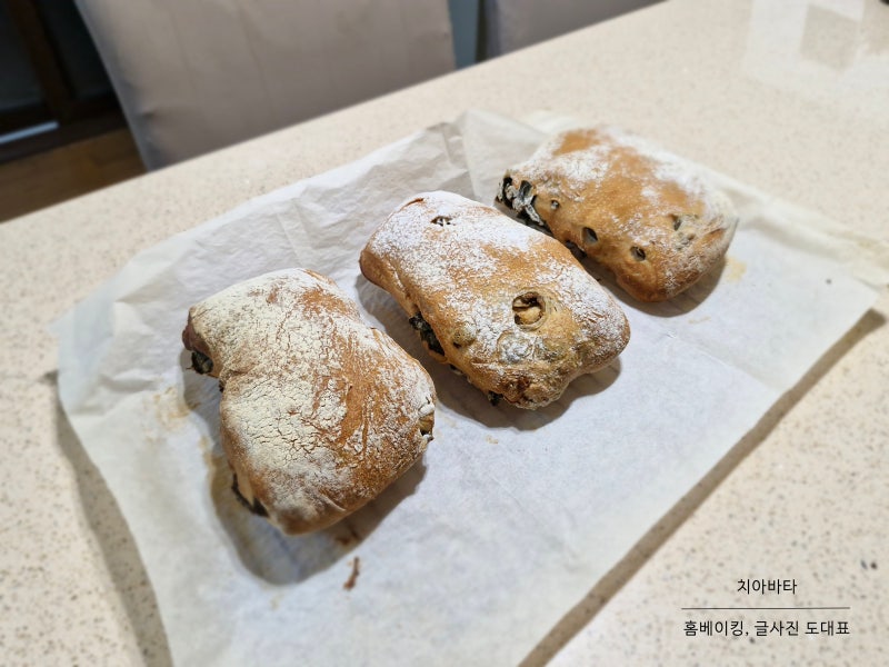 통밀올리브치아바타 만들기 올리브생바질 치아바타 만드는법