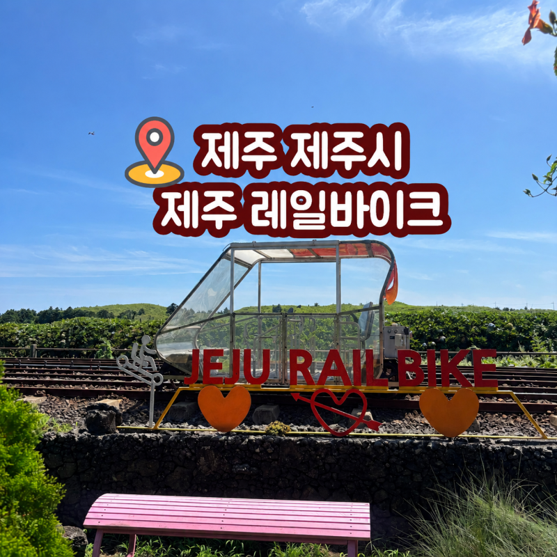 제주레일바이크 솔직후기 위치 이용요금 소요시간 먹이체험 애견동반 가능 전동페달 제주동....