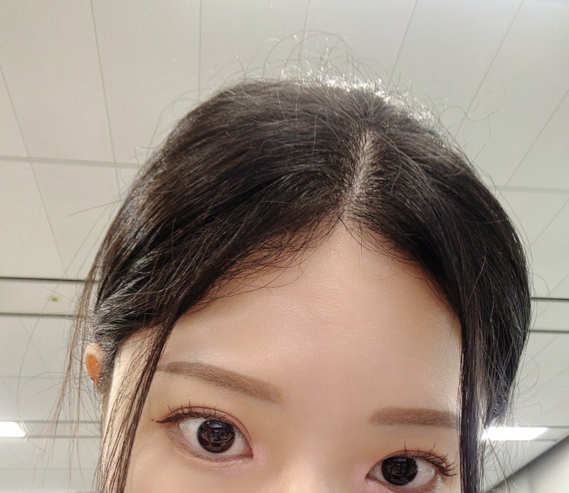 코스트코추천템 탈모샴푸추천 대다모1등샴푸 솔직후기