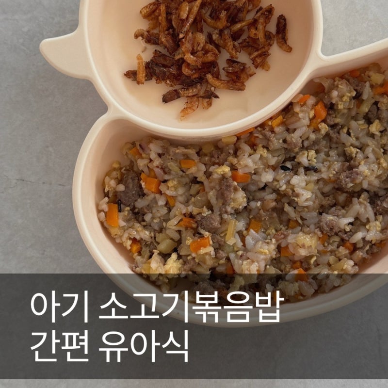 아기 소고기볶음밥 다짐육으로 만드는 간편한 유아식 (두돌아기 한 그릇 레시피)
