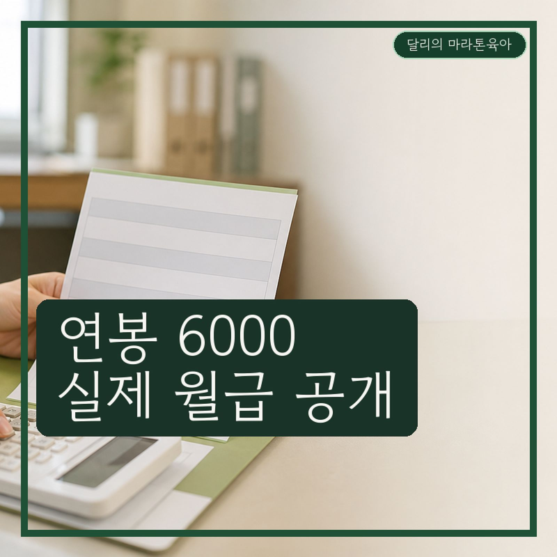 연봉 6000 실수령액 얼마일까? 세후 월급·공제액 계산