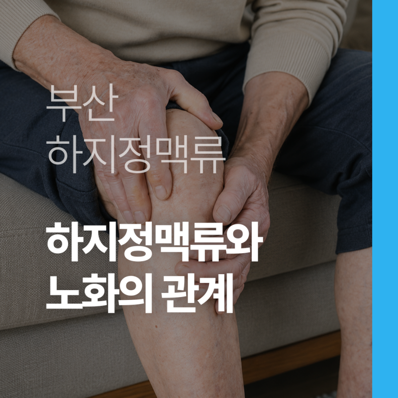 부산 하지정맥류 혈관 노화로 더 위험해질 수도