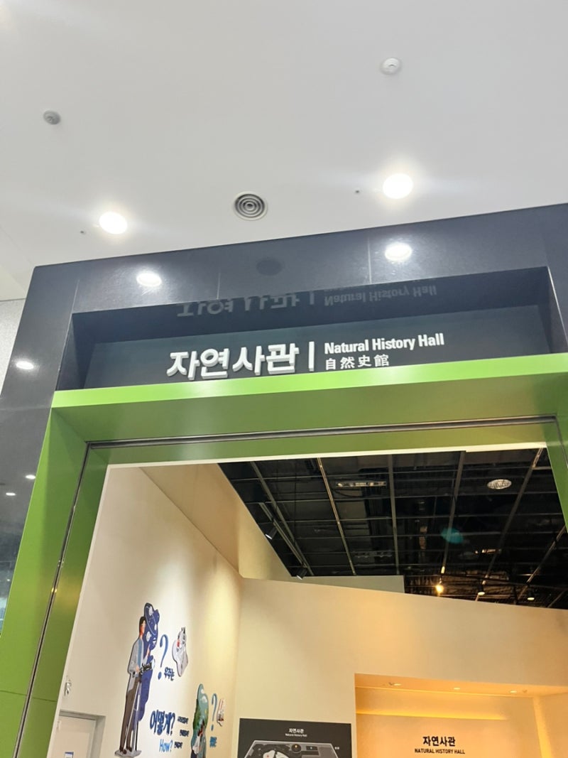 국립과천과학관 자연사관 아이와 다녀온 후기｜공룡부터 지구의 역사까지