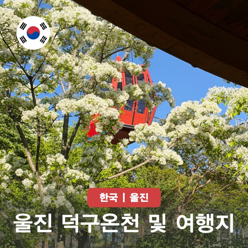 경북 울진 덕구온천 여행코스 가볼만한곳 여행지 및 숙소 호텔 추천