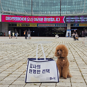 일산 킨텍스 반려동물 박람회 랑랑이랑 마이펫페어 다녀온 애견동반 후기