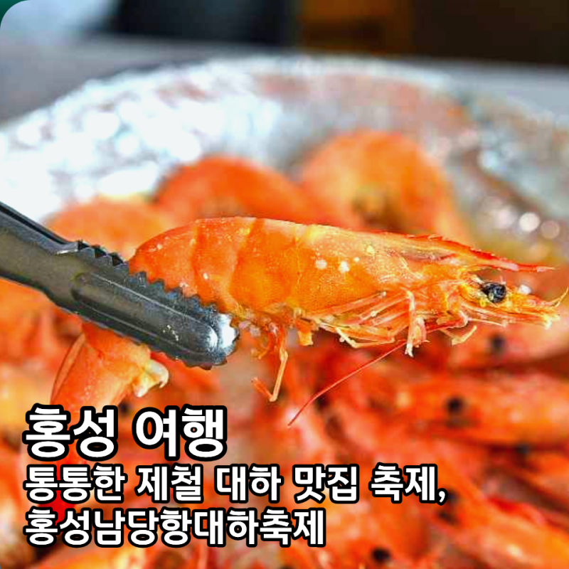 남당리대하축제 2026일정 가격 대하 고르는 법