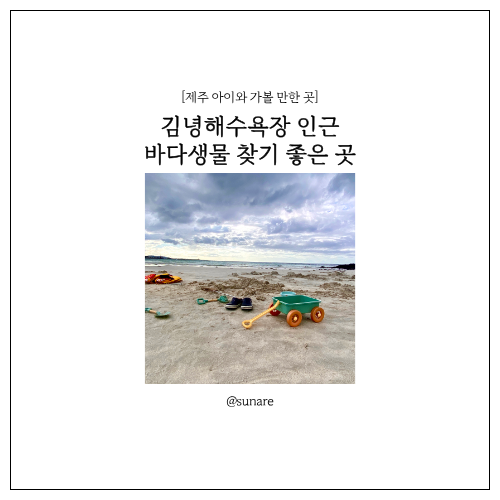 제주 김녕바다 숨은 스팟! 김녕해수욕장 근처 아이와 스노클링·게잡이 체험 (김녕해수욕장 /....