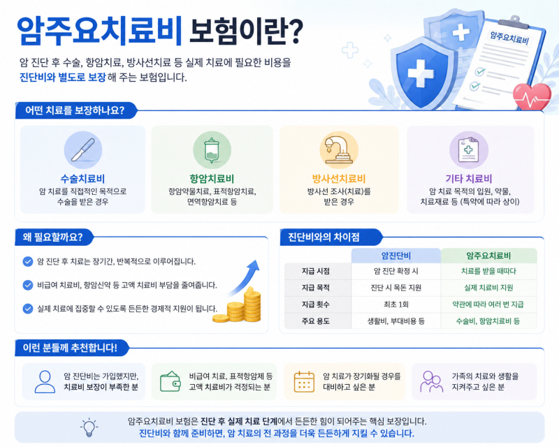 암주요치료비보험과 비급여 암주요치료비보험