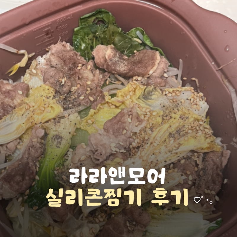 예비신부 다이어트 성공하게 해준 5분컷 실리콘찜기 레시피| 라라앤모어 실리콘찜기 찐사용....